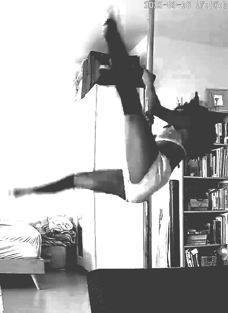  petit chemin de terre à deux voie au millieu d'un petit village pavillonaire 3 maisons aux milieu des bois 